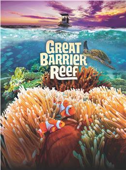 大堡礁探险在线观看和下载