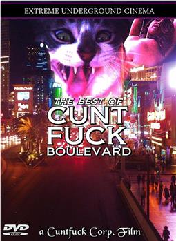 The Best of Cunt Fuck Boulevard在线观看和下载