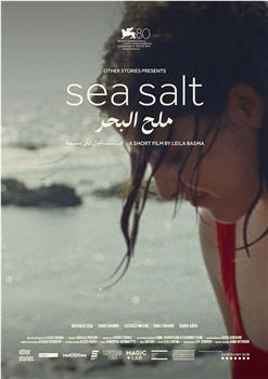 海盐在线观看和下载