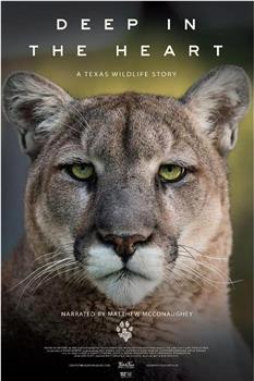 深入核心：德克萨斯野生动物的故事在线观看和下载