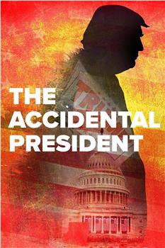The Accidental President在线观看和下载