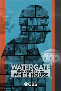 Watergate: High Crimes in the White House在线观看和下载