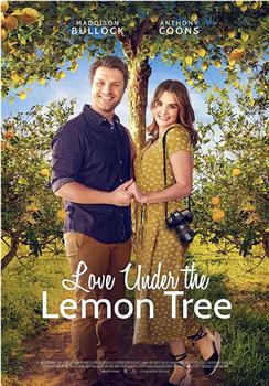 Love Under the Lemon Tree在线观看和下载