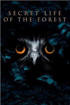 Secret Life of the Forest Season 1在线观看和下载