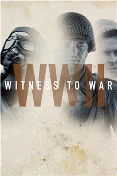 二战：战争的见证 第一季在线观看和下载