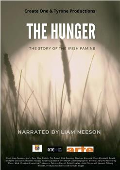 饥饿：爱尔兰大饥荒的故事在线观看和下载