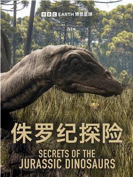 侏罗纪探险 第一季在线观看和下载
