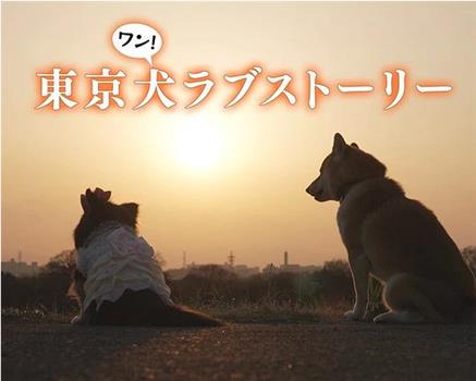 东京犬爱情故事在线观看和下载