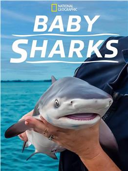 鲨鱼宝宝成长记在线观看和下载
