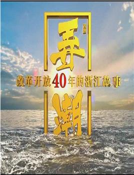 弄潮：改革开放40年的浙江故事在线观看和下载
