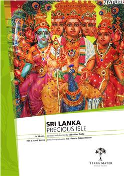 斯里兰卡-宝岛在线观看和下载