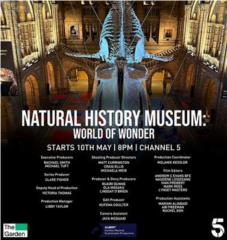 英国自然历史博物馆：神奇世界 第二季在线观看和下载