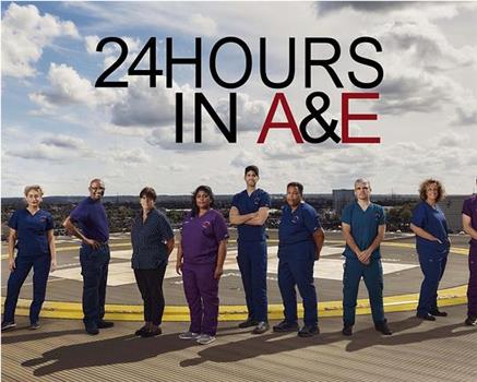急诊室24小时 第二十四季在线观看和下载