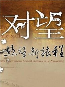 对望：丝路新旅程在线观看和下载