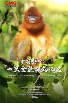中国秦岭：一只金丝猴的记忆在线观看和下载
