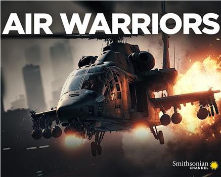 战机：空中勇士 第十一季在线观看和下载