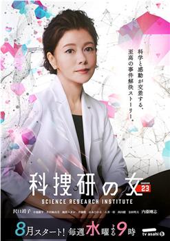 科搜研之女 第23季在线观看和下载