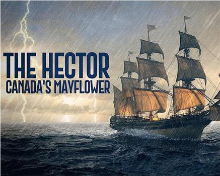 The Hector: Canada's Mayflower在线观看和下载
