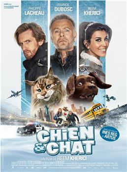 Chien et Chat在线观看和下载