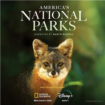 美国国家公园 第二季在线观看和下载