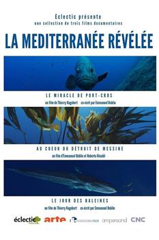 La Méditerranée révélée Season 1在线观看和下载