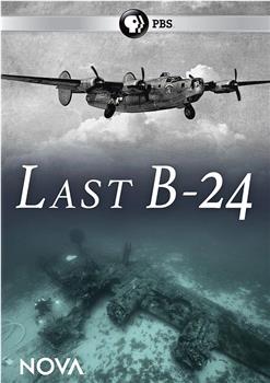 Last B-24在线观看和下载