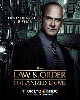 法律与秩序：组织犯罪 第四季在线观看和下载