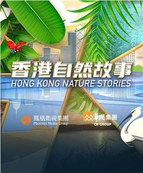香港自然故事在线观看和下载