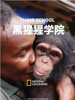 黑猩猩学院在线观看和下载