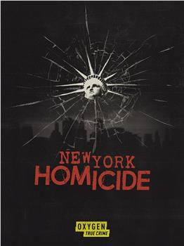 New York Homicide Season 1在线观看和下载
