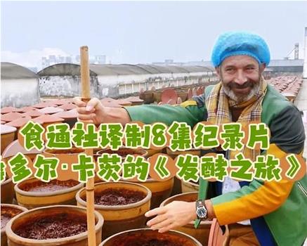 发酵人民共和国之旅 第一季在线观看和下载