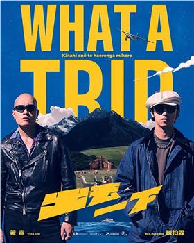 出去一下 What A Trip在线观看和下载