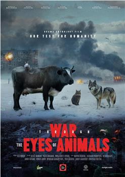 War Through the Eyes of Animals在线观看和下载