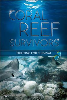 Coral Reef Survivors在线观看和下载