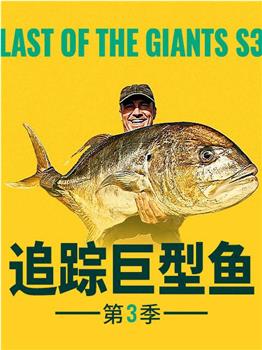 追踪巨型鱼 第三季在线观看和下载