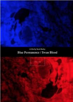 Blue Permanence/Swan Blood在线观看和下载