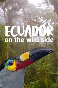 L'Equateur,au sommet de la biodiversité Season 1在线观看和下载