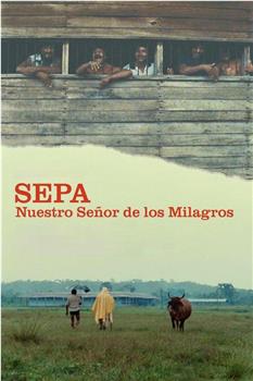 Sepa: Nuestro Señor de los milagros在线观看和下载