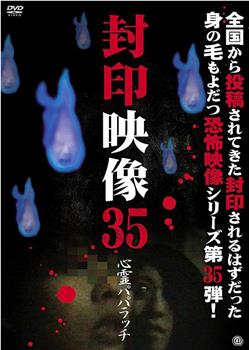 封印映像35：灵异狗仔队在线观看和下载