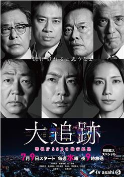 大追踪〜警视厅SSBC强行犯系〜在线观看和下载