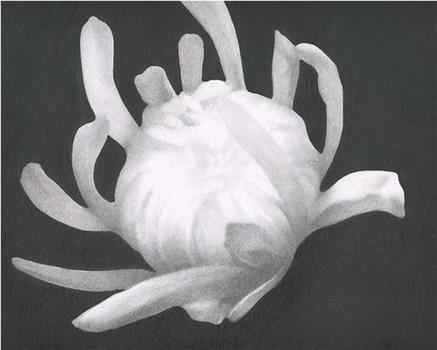 Chrysanthemum在线观看和下载