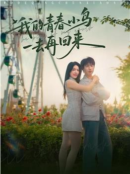 我的青春小鸟一去再回来在线观看和下载
