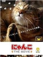 猫咪物语