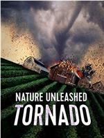 Nature Unleashed: Tornado在线观看