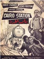 开罗车站在线观看