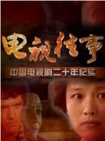 电视往事：中国电视剧20年纪实