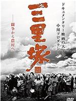日本解放战线·三里塚之夏在线观看
