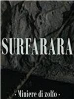 Surfarara在线观看