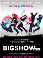 2010 Big Bang演唱会Big Show 3D