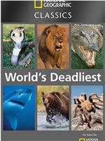 世界致命动物系列：亚马逊河篇